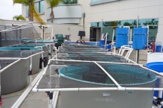 water tanks